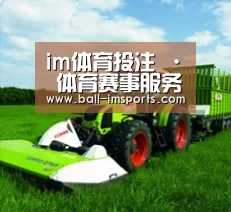 关于im赛事
