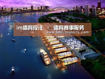 案例展示八