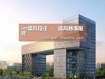 案例展示四