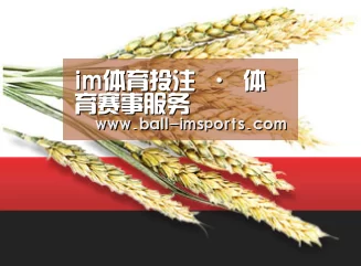 im体育投注 · 体育赛事服务