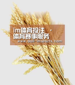 im体育投注 · 体育赛事服务