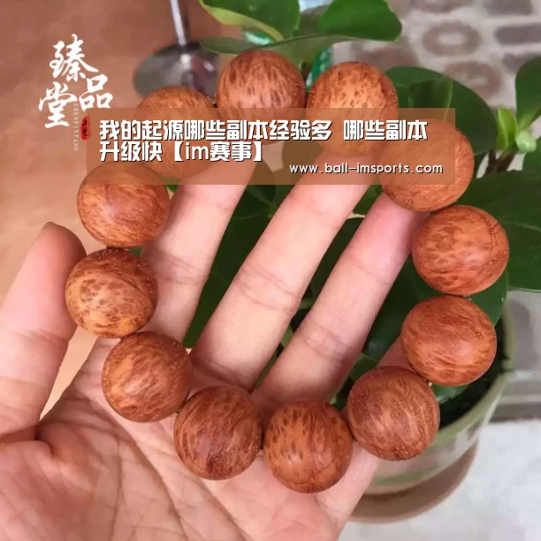 我的起源哪些副本经验多 哪些副本升级快【im赛事】(图1) im赛事