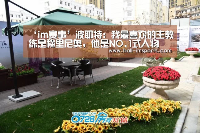 im体育下载