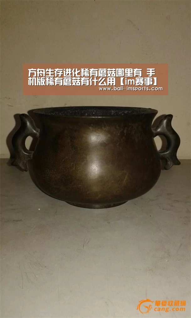 im体育平台