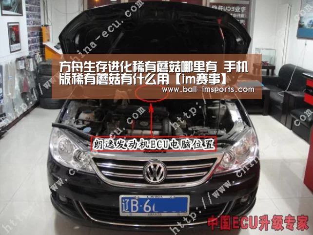 im体育下载