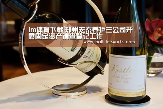 im体育平台