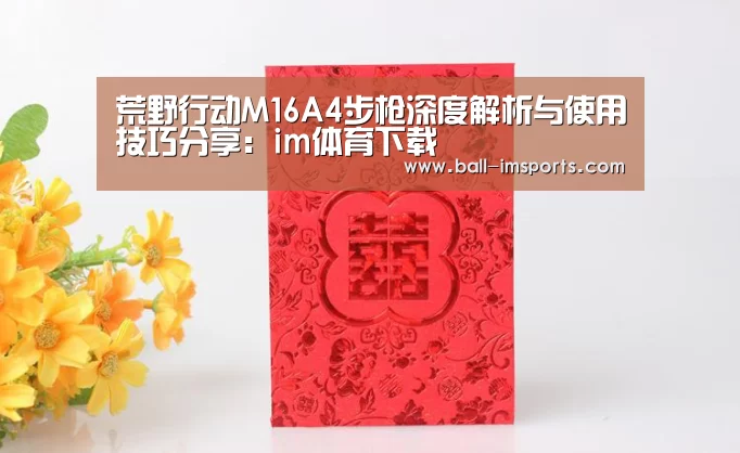 im体育
