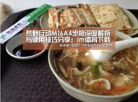 im体育下载