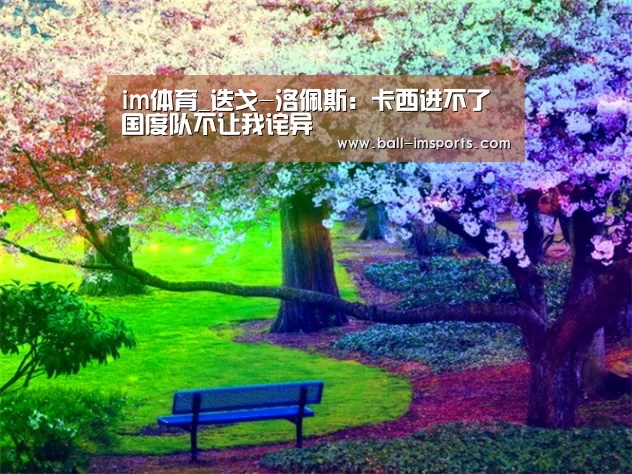 im体育_迭戈-洛佩斯:卡西进不了国度队不让我诧异(图2) im体育平台