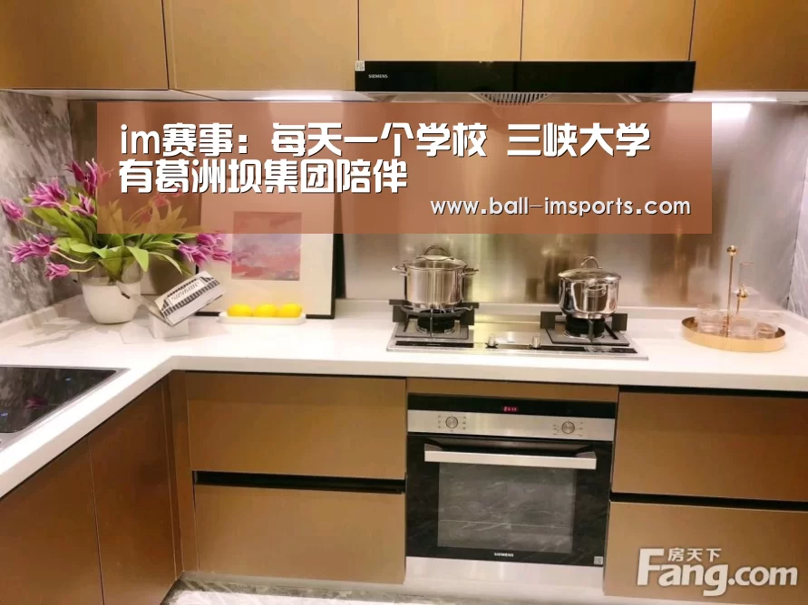 im赛事