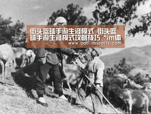 im赛事